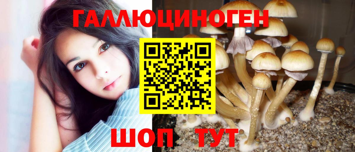 Псилоцибиновые грибы Magic Shrooms  Вход с VPN  Можайск 